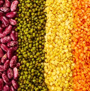 Rika Food-legumes