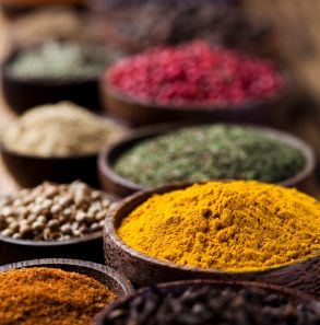 Rika Food-spices