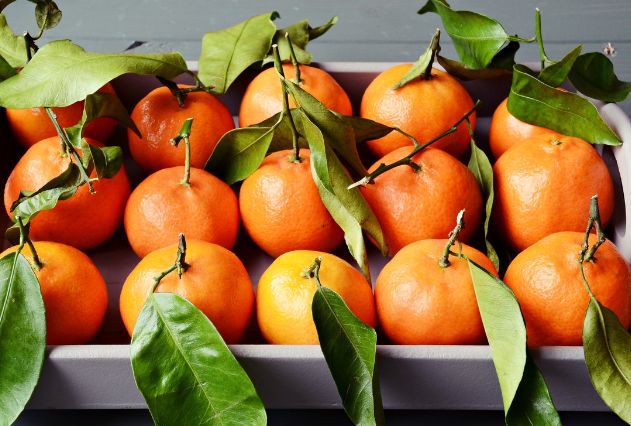 Rika Moroccan Clementines 2
